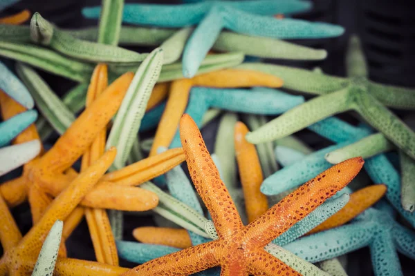 Starfish e conchas lembranças para venda — Fotografia de Stock