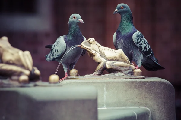 Dos palomas y fuente con rana de la suerte de oro - el símbolo de —  Fotos de Stock