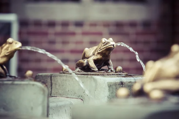 Fountain with golden lucky frog - the symbol of Torun city (Pola — Stock Photo, Image