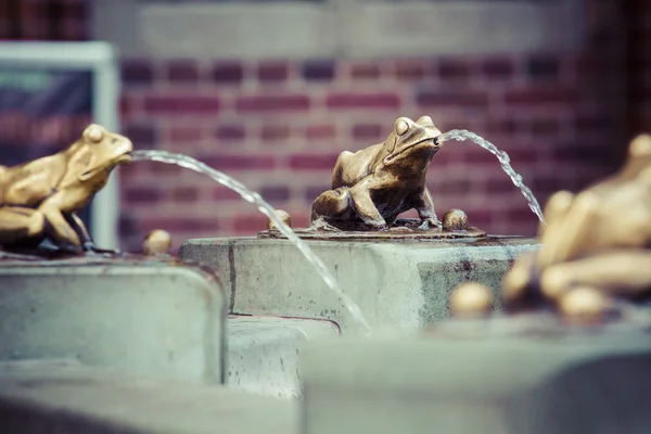 Fountain with golden lucky frog - the symbol of Torun city (Pola — Stock Photo, Image