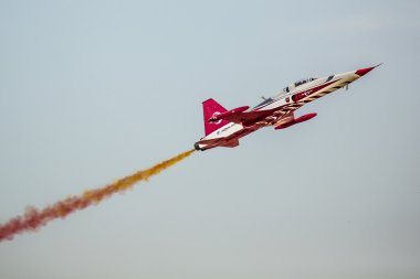 Poznan, Polonya - 14 Haziran: akrobasi grubu oluşumu 