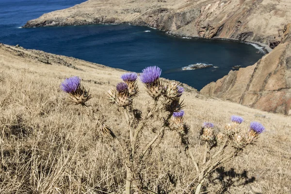 Ponta de São Lourenco, parte oriental da Ilha da Madeira, Portu — Fotografia de Stock