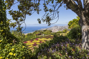 Şehirde Funchal, Madeira Island ünlü tropikal botanik bahçeleri