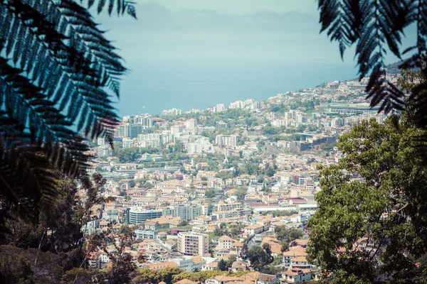 De hoofdstad van het eiland Madeira - Funchal stad — Stockfoto