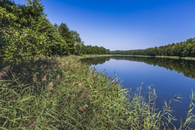 Masuria Polonya Wydminy gölü etrafında bizimkiler yaşar.
