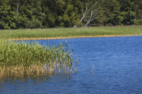 Goldopiwo see auf masuren in polen. — Stockfoto