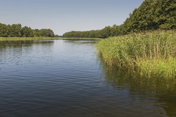 Lago Wydminy sulla Masuria in Polonia . — Foto Stock