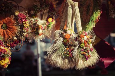 Çeşitli kuru ve ev dekorasyon için renkli bitkiler ve çiçekler