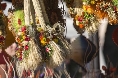 Çeşitli kuru ve ev dekorasyon için renkli bitkiler ve çiçekler