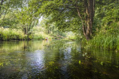 Rospuda Nehri üzerinde Polonya Kayak