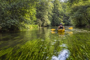 Rospuda Nehri üzerinde Polonya Kayak