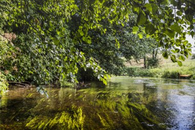 Rospuda Nehri üzerinde Polonya Kayak
