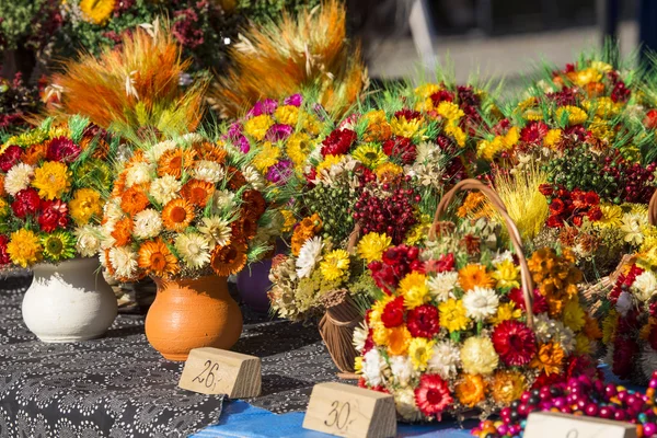 Various Dried and Colored Plants and Flowers for Home Decoration