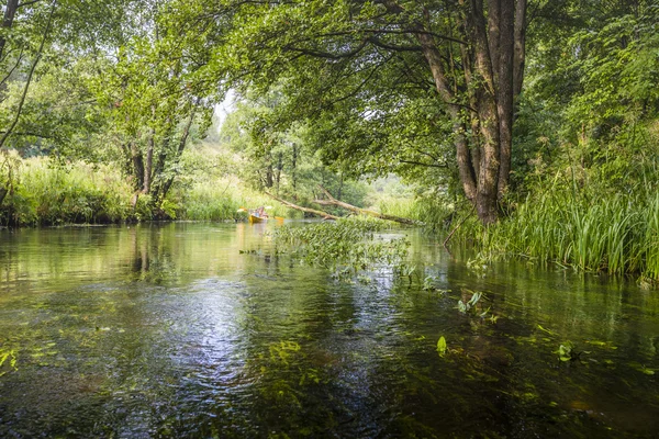 Kajakpaddling på floden Rospuda, Polen — Stockfoto