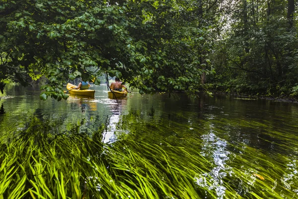 Kajakpaddling på floden Rospuda, Polen — Stockfoto