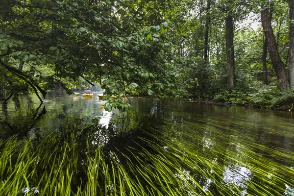 Caiaque no rio Rospuda, Polônia — Fotografia de Stock