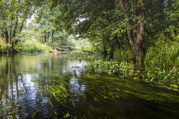 Jízda na kajaku na řece Rospuda, Polsko — Stock fotografie