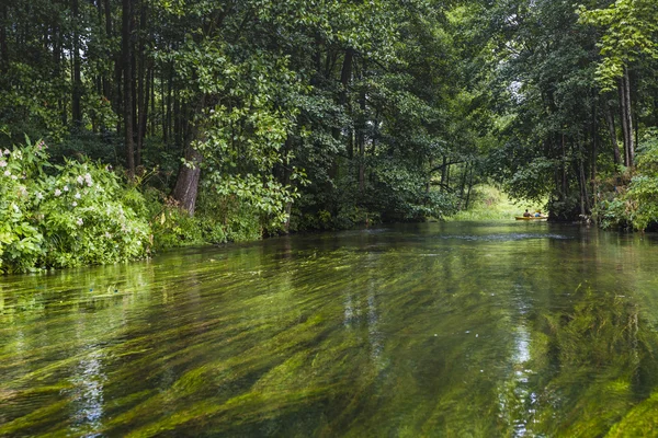 Kajakfahren auf dem Fluss Rospuda, Polen — Stockfoto