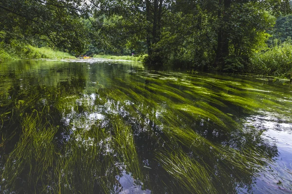 Rospuda Nehri üzerinde Polonya Kayak — Stok fotoğraf