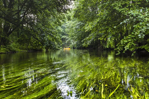 Kayaking on the Rospuda river, Poland — Stock Photo, Image