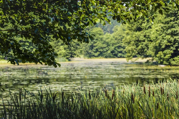 Floden svart Hancza i Turtul. Polen — Stockfoto