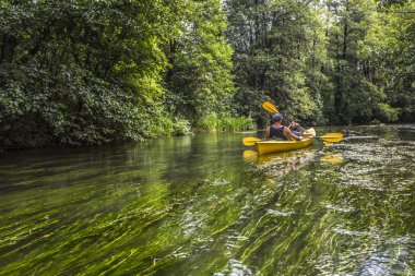 Rospuda Nehri üzerinde Polonya Kayak