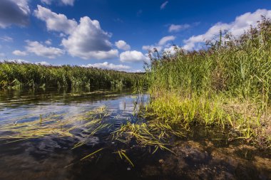 Siyah Hancza Nehri üzerinde Polonya Kayak