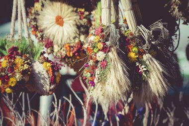 Çeşitli kuru ve ev dekorasyon için renkli bitkiler ve çiçekler