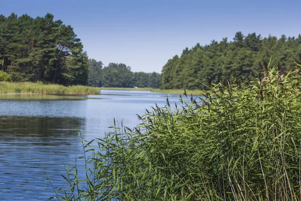 Lac Wydminy sur la Masurie en Pologne . — Photo