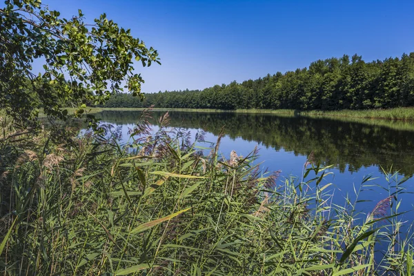 Wydminy lake on Masuria in Poland. — Stock Photo, Image