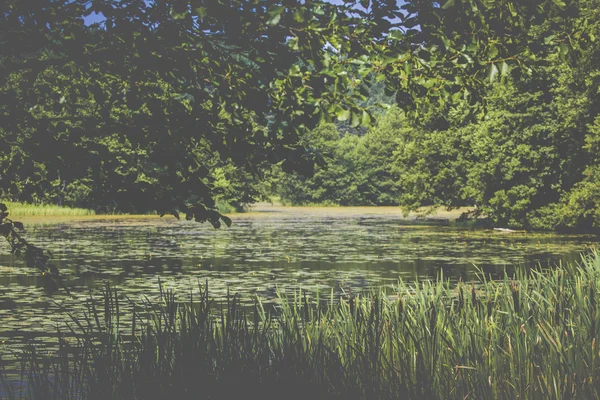 Nehir siyah Turtul Hancza. Polonya — Stok fotoğraf