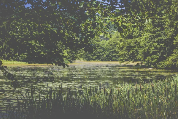 River Black Hancza em Turtul. Polónia — Fotografia de Stock