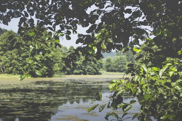 Rivier Black Hancza in Turtul. Polen — Stockfoto