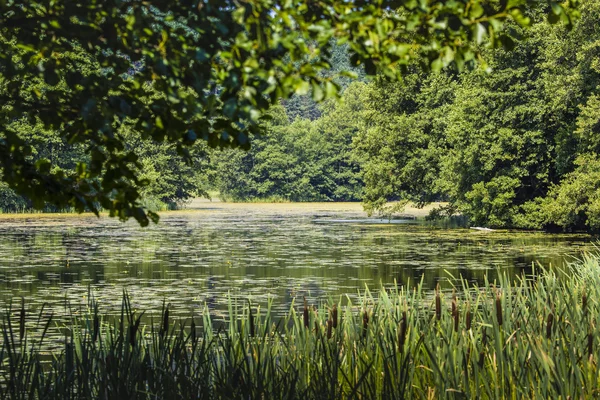 Rivier Black Hancza in Turtul. Polen — Stockfoto