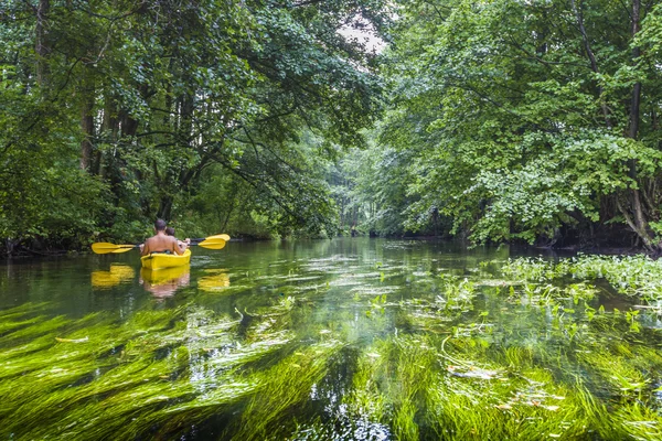 Kayaking on the Rospuda river, Poland — Stock Photo, Image