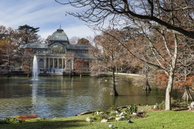 Crystal palace (palacio de cristal) retiro park, madrid, İspanya