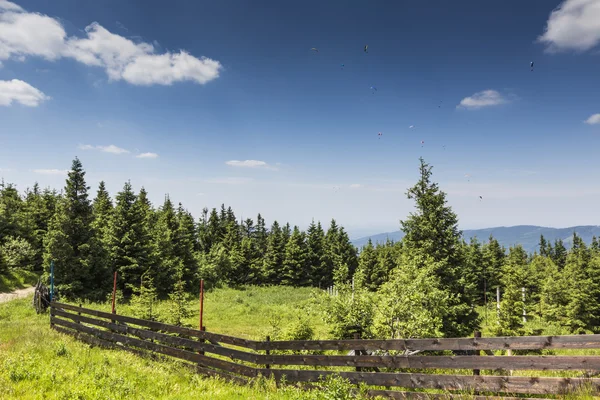 Mountain landscape from Skrzyczne. Hillside covered with pine tr — Stock Photo, Image