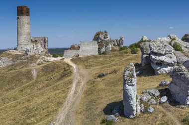 Beyaz kayalar ve harap Ortaçağ Kalesi, Olsztyn, Polonya 
