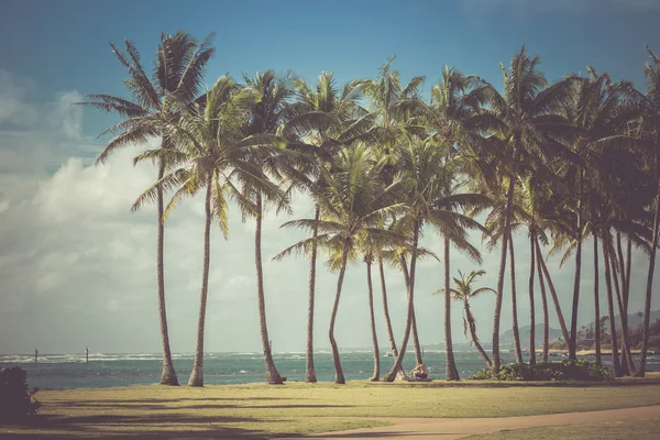 Vintage tonificado imagem de palmas silhuetas contra o nascer do sol . — Fotografia de Stock