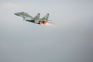 RADOM, POLAND - AUGUST 23: Slovakian Air Force MiG-29 solo displ