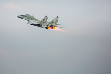 RADOM, POLAND - AUGUST 23: Slovakian Air Force MiG-29 solo displ clipart