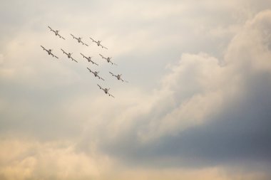 Radom, Polonya - 23 Ağustos: Akrobasi grubu oluşumu 