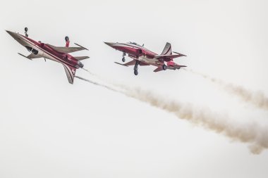 RADOM, POLAND - AUGUST 22: Patrouille Suisse (Switzerland) aerob
