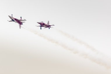 RADOM, POLAND - AUGUST 22: Patrouille Suisse (Switzerland) aerob