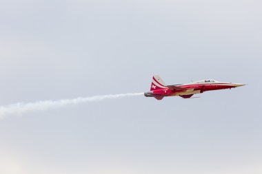 RADOM, POLAND - AUGUST 22: Patrouille Suisse (Switzerland) aerob