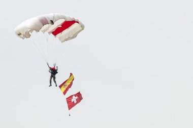 RADOM, POLAND - AUGUST 23: Parachutist with the diferent flags a
