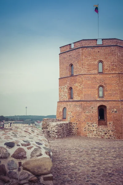 Vilnius, Lituania. Vista sulla città di Vilnius. Vilnius, Torre di Gedimin — Foto Stock