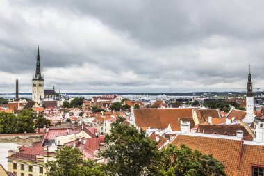 Tallinn, Estoni Old Town manzaralı yaz hava Panoraması