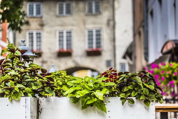 Schwedisches Tor in der Altstadt von Riga, Lettland — Stockfoto