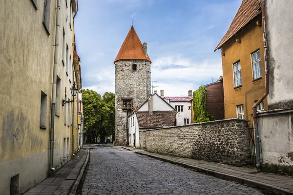 Середньовічні стіни в Таллінні — стокове фото